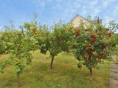 Picture 22